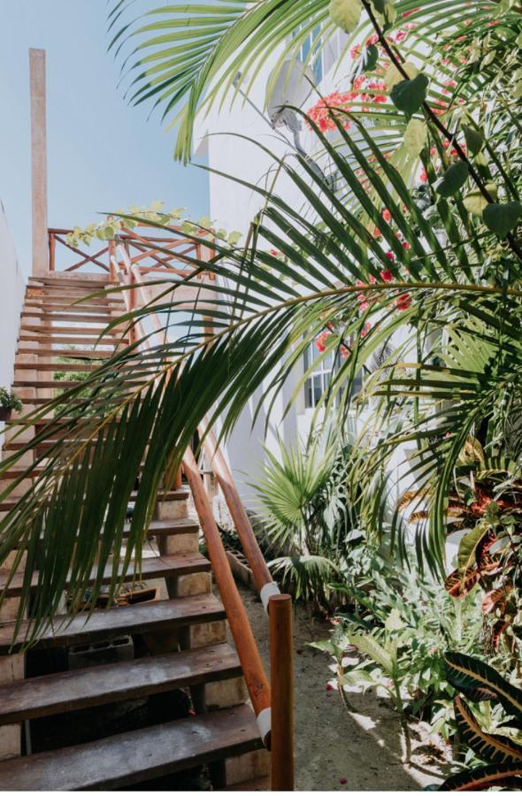 Posada Don Antonio Isla Holbox 外观 照片